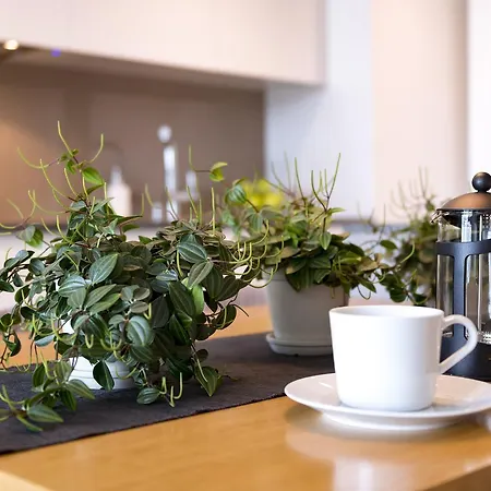 Pixelhome Przy Synagodze Poznań