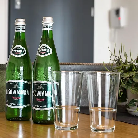 Appartement Pixelhome Przy Synagodze Poznań